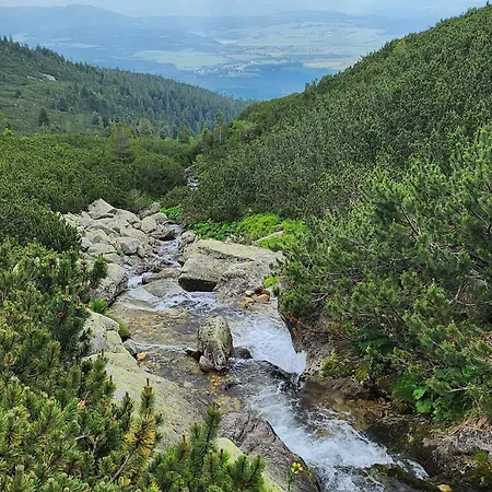 Ve Vysokych Tatrach * Štrbské Pleso