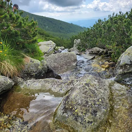 Ve Vysokych Tatrach *