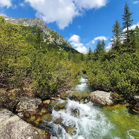 Ve Vysokych Tatrach * Štrbské Pleso