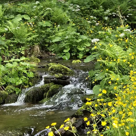 アパート Ve Vysokych Tatrach *