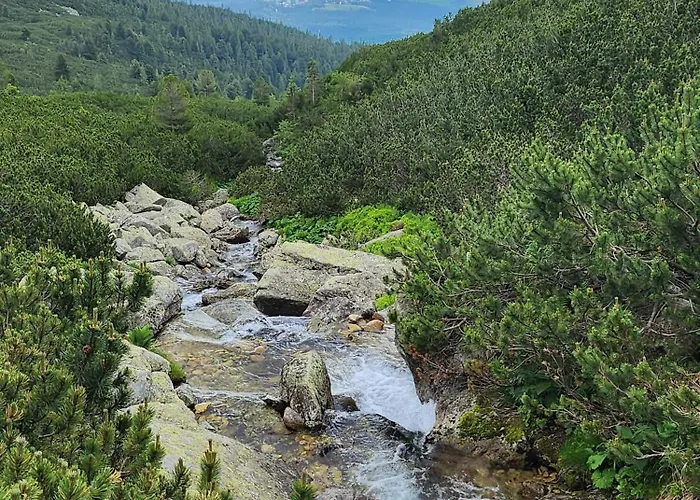 Ve Vysokych Tatrach * Štrbské Pleso