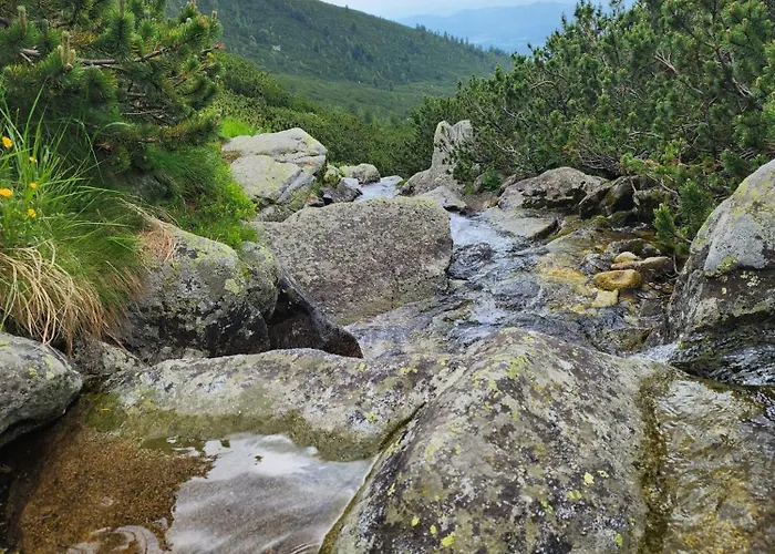 Ve Vysokych Tatrach *