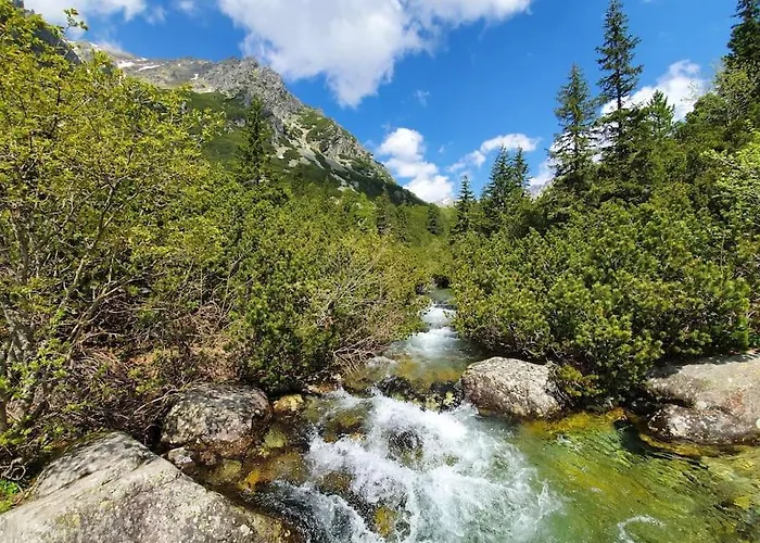 Ve Vysokych Tatrach * Štrbské Pleso