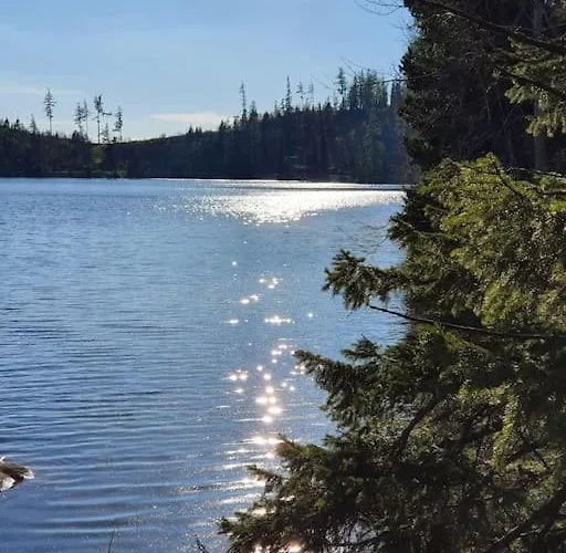 アパート Ve Vysokych Tatrach *