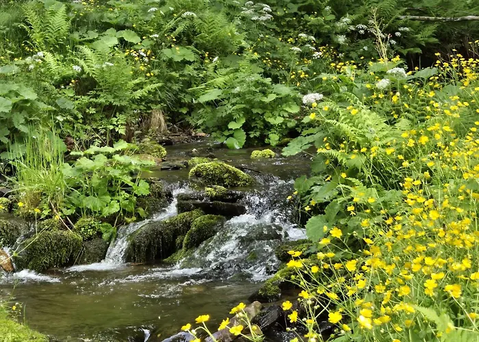 アパート Ve Vysokych Tatrach *